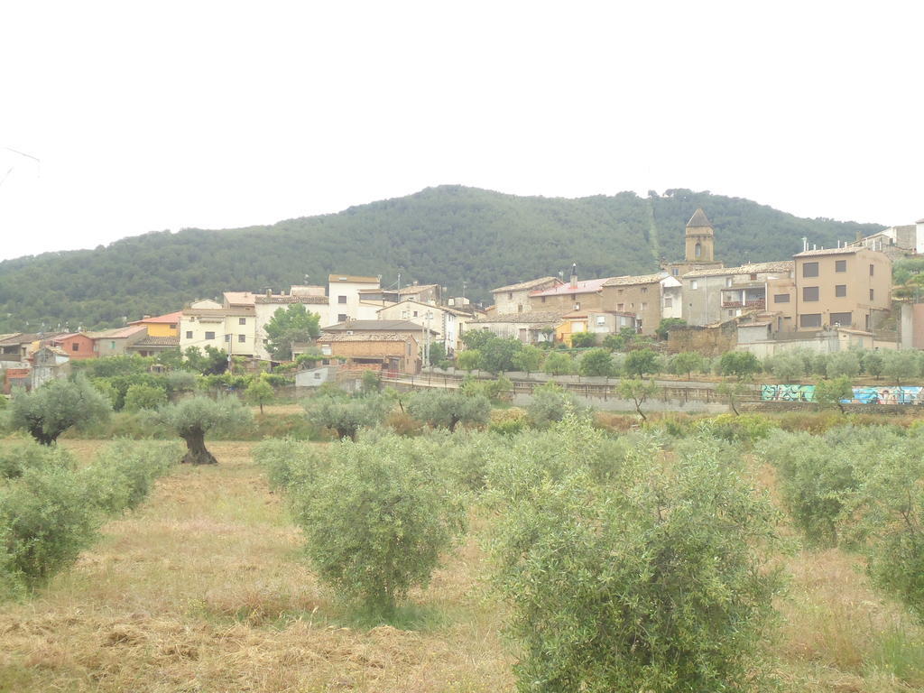 Casa Felisa Pirineo Aragones Villa Santa Eulalia de Gallego Phòng bức ảnh